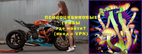 гашик Кукмор