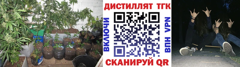 Купить  Миллерово  Дистиллят ТГК Wax 